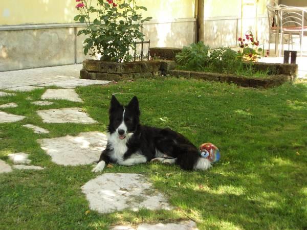 B&B Ai Tre Confini Monzambano Εξωτερικό φωτογραφία